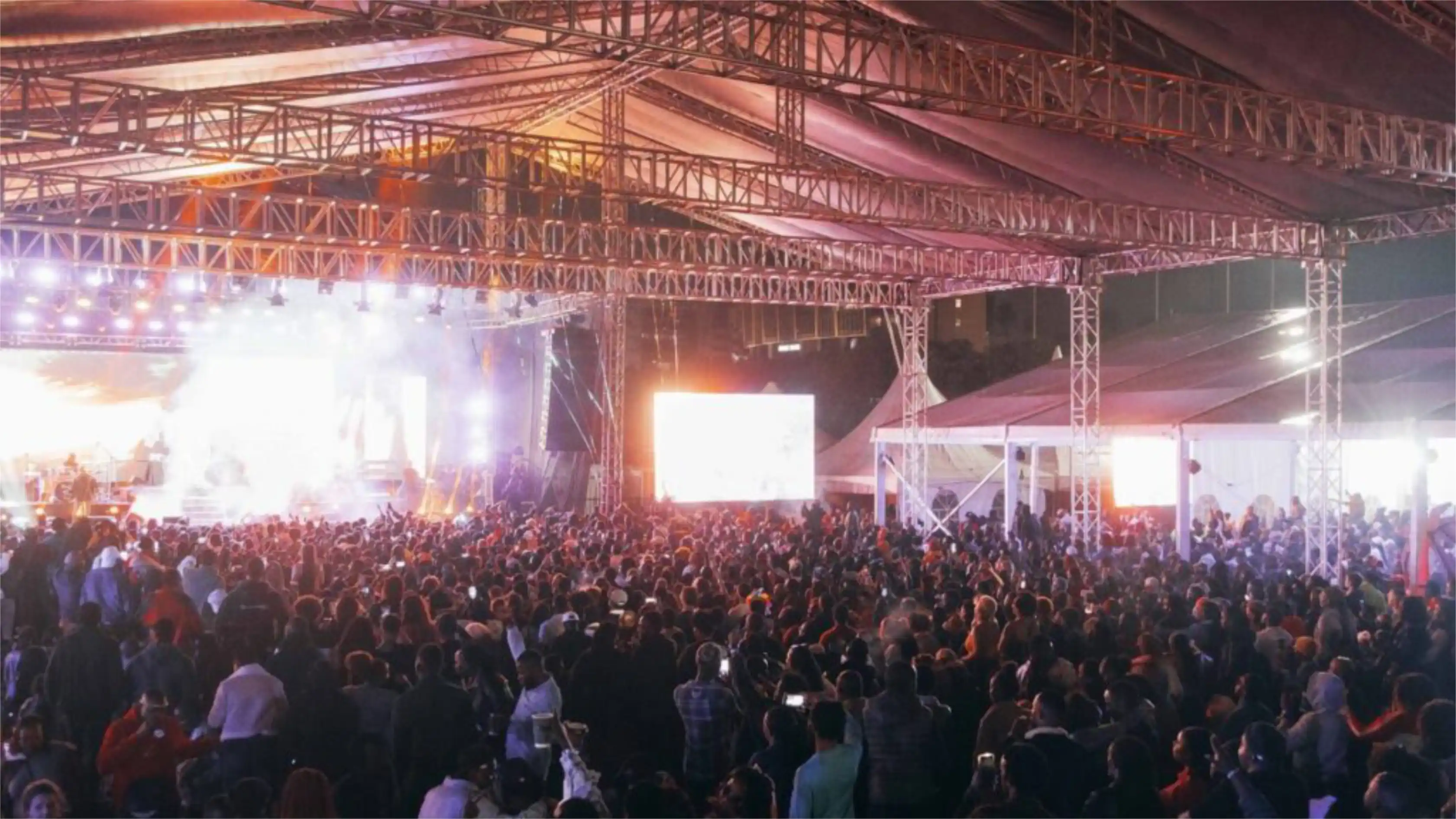 Professional event security management